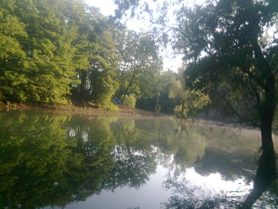 Прикрепленное изображение: Фото0023.jpg